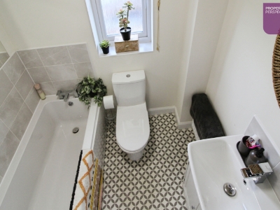 Picture 11